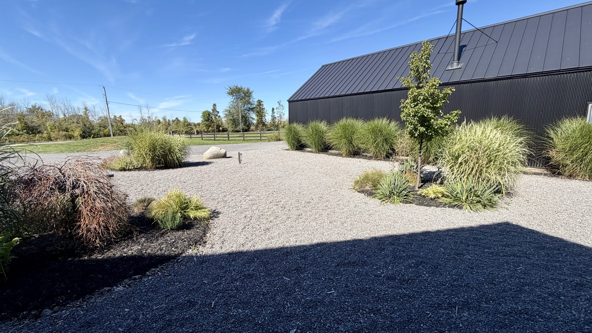 Sculpted planting beds, grasses and specimen trees along the gravel drive.